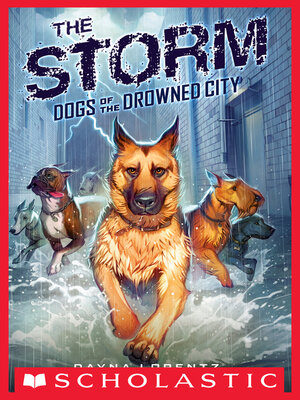 The Storm - ebook